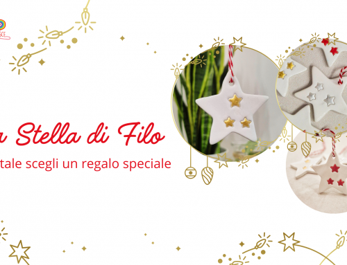 A Natale scegli la Stella di Filo